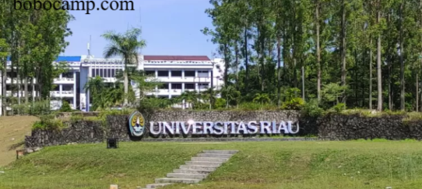 Universitas Yang Ada Di Pekanbaru Provinsi Riau