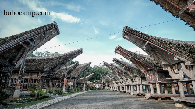 Wisata Budaya Tana Toraja Yang Wajib Kamu Kunjungi