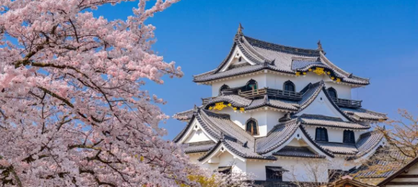 Inilah 5 Daftar Wisata Di Jepang Dari Pegunungan Hingga Pantai