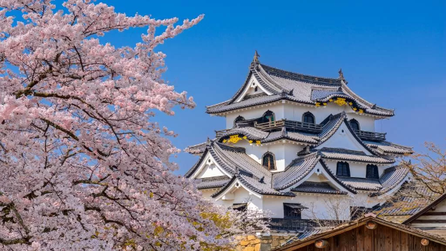 Inilah 5 Daftar Wisata Di Jepang Dari Pegunungan Hingga Pantai
